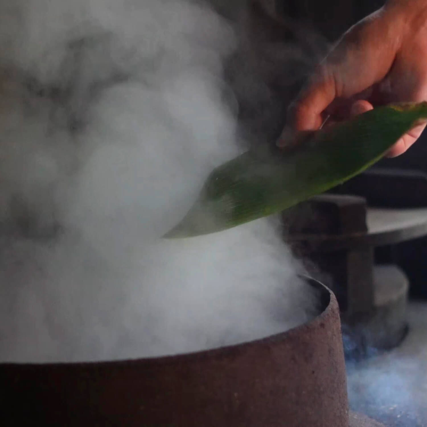 元祖檜山茶大髙園 ティーバッグ(4g×1個)