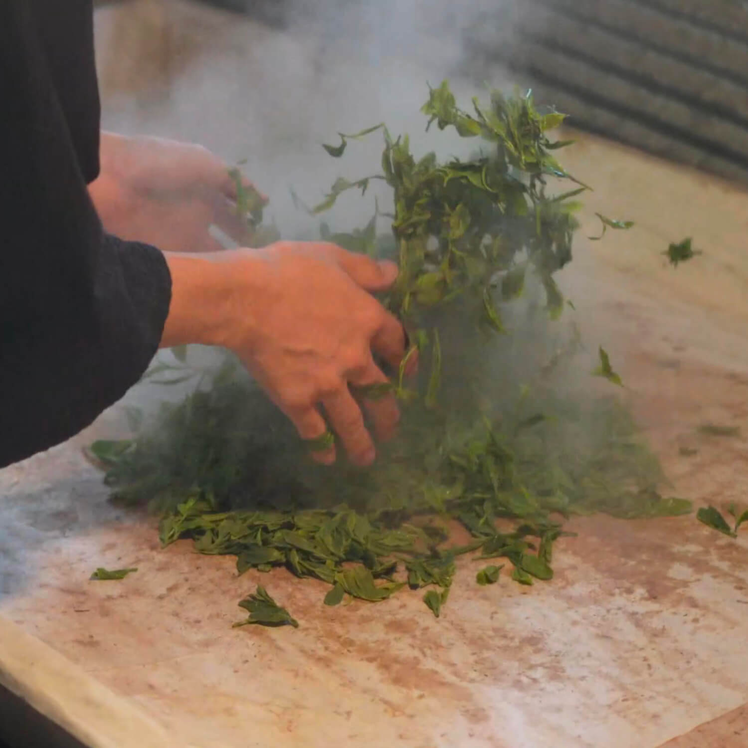 元祖檜山茶大髙園 ティーバッグ(4g×1個)