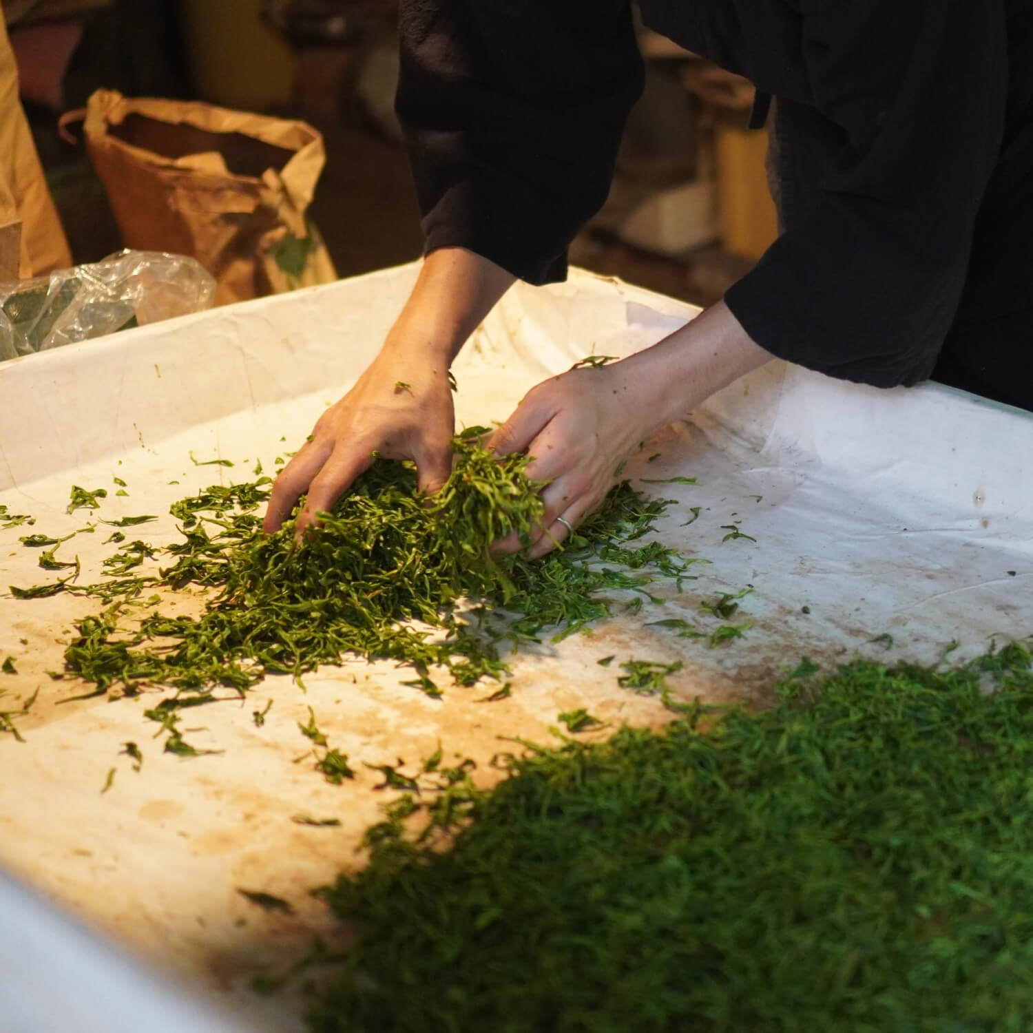 元祖檜山茶大髙園 ティーバッグ(4g×1個)