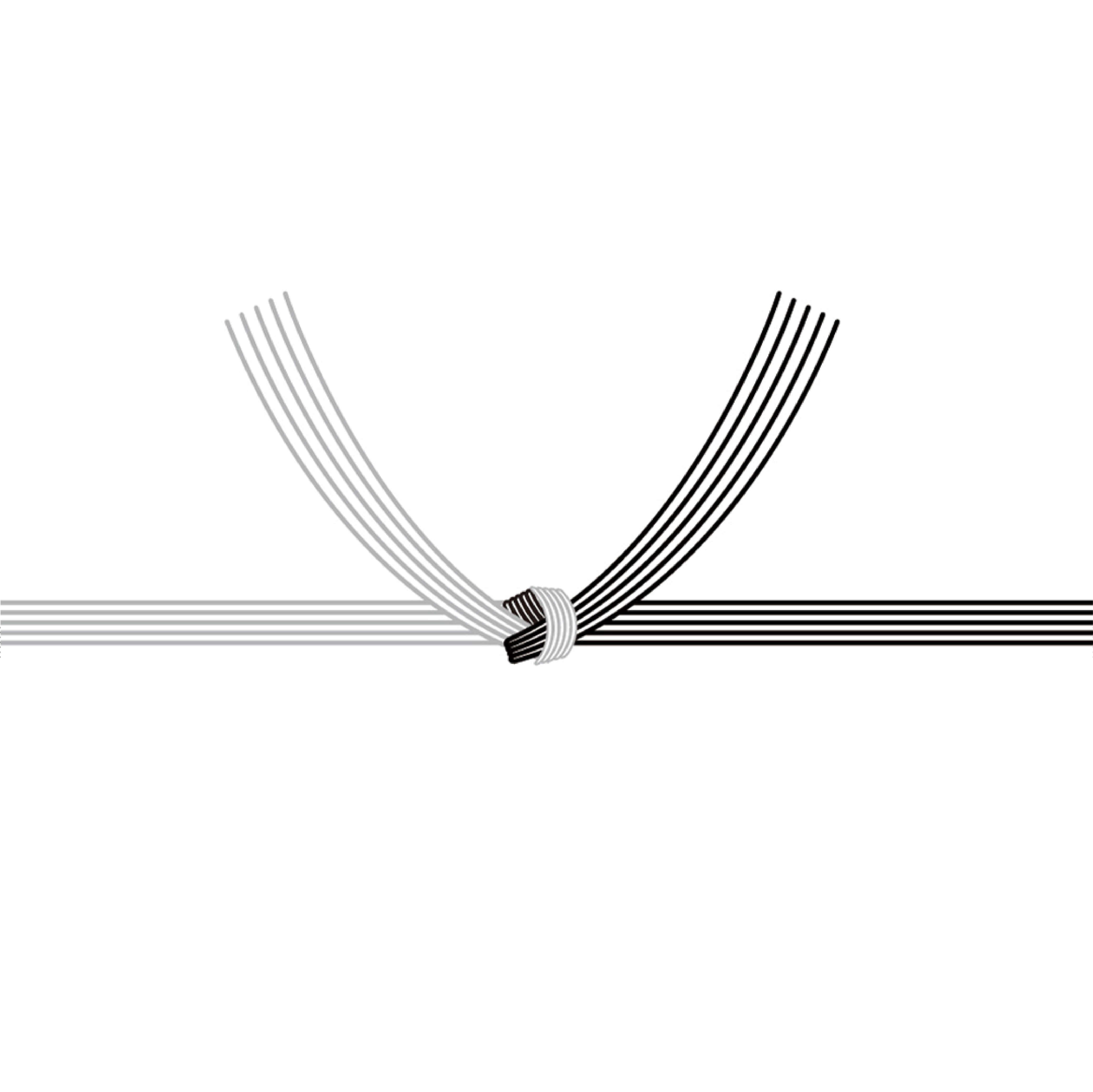 熨斗 黒白結び切り