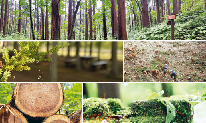 人と森にやさしく。