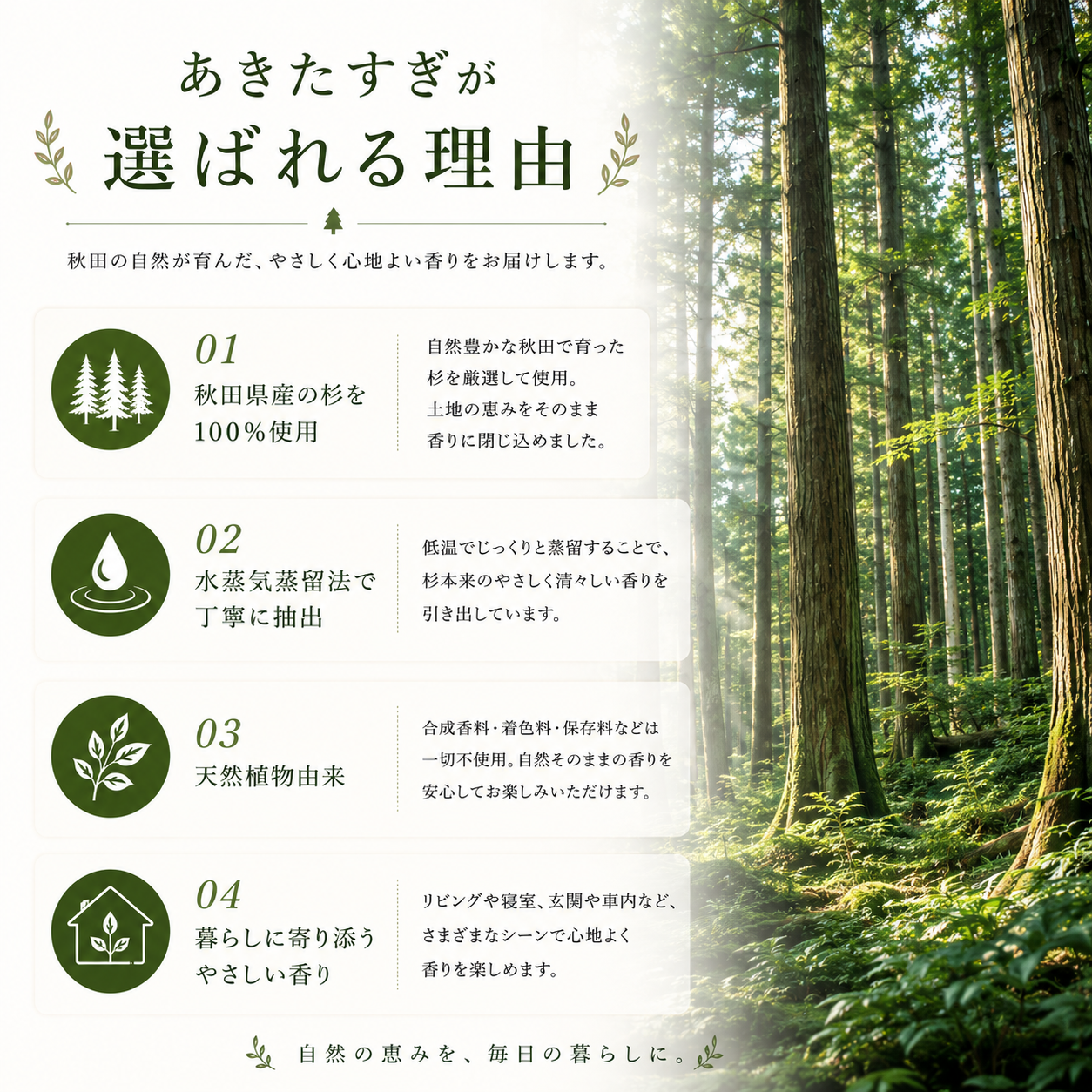 Akita Sugi Akita Cedar Aroma Oil 