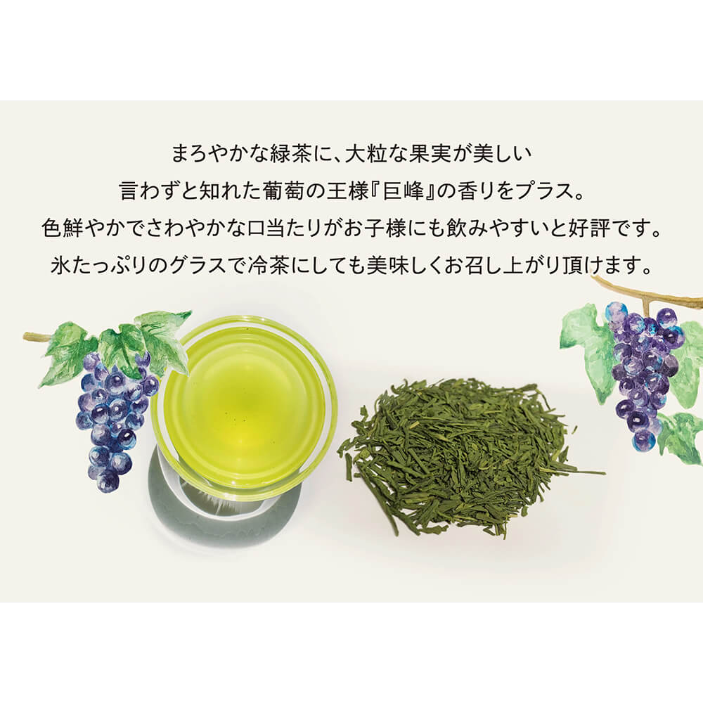 葡萄の緑茶 ティーバッグ