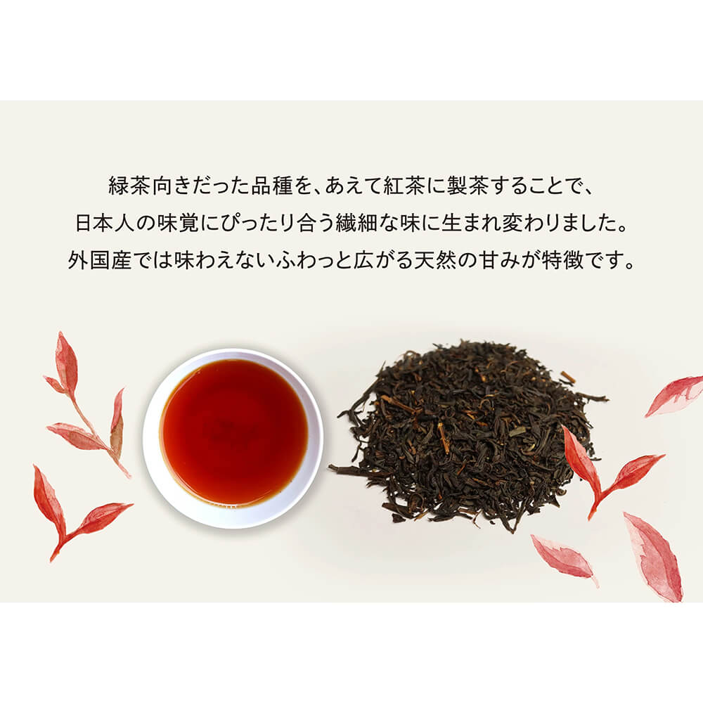 和の紅茶 ティーバッグ