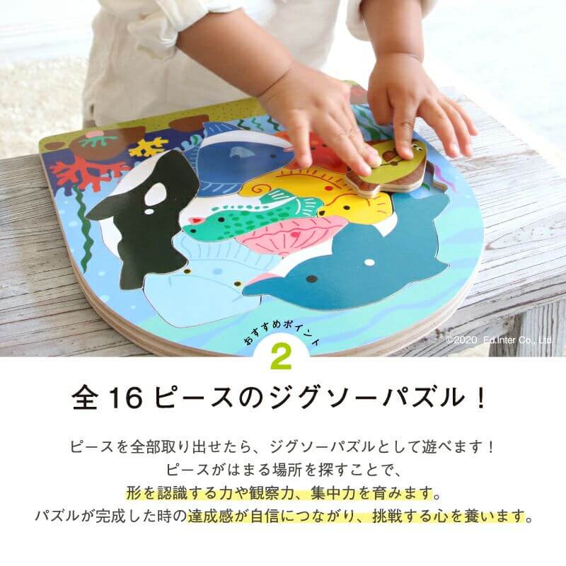 2-layer puzzle fishing Puzzle that allows you to play fishing